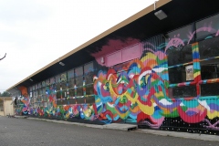 P4260527