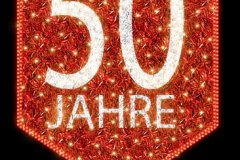 cedricBernadotte@Blachere-illumination-3