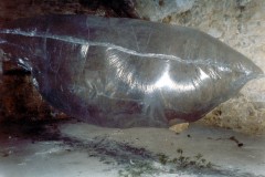 Fort Gavarez - Toulon 1999