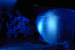 Montpellier - Collectif anonymixte 2000