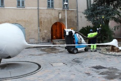 CedricBernadotte-Toulon2013-14